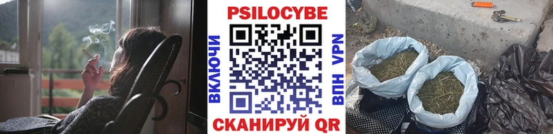 купить наркотики цена  кракен рабочий сайт  Галлюциногенные грибы мухоморы  Высоцк 